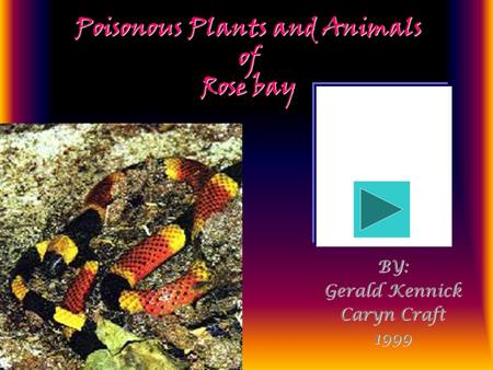 Poisonous Plants and Animals of Rose bay BY: Gerald Kennick Caryn Craft 1999.