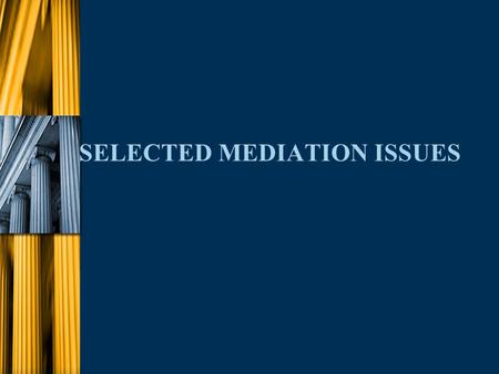 SELECTED MEDIATION ISSUES. u Each Mediation is Different n Evaluation of Case l Counsel n Personalities n Experience n Knowledge of controlling facts/law.