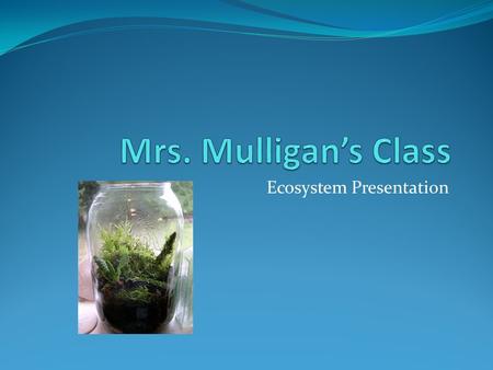 Ecosystem Presentation. Abiotic Components The non-living parts of our ecosystem includes the light, water soil and rocks. The temperature is kept at.