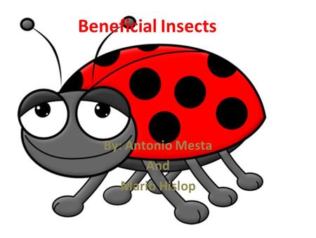 Beneficial Insects By: Antonio Mesta And Mario Hislop.