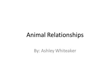 Animal Relationships By: Ashley Whiteaker. Relationships Mutualism- when both animals benefit. Parasitism- one benefits and one is harmed. Commensalism-