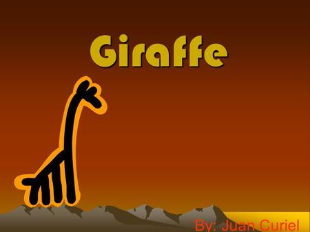 Giraffe By: Juan Curiel.