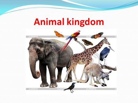 Animal kingdom. We shall know the names of some reptiles; the names of some mammals; what they can/can`t do.