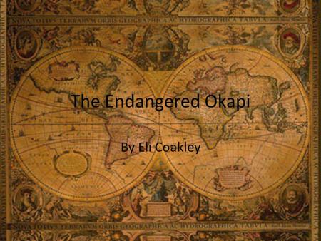 The Endangered Okapi By Eli Coakley.