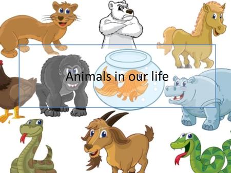 Animals in our life. Do you like to go to the Zoo? Answer the questions:  When did you go to the zoo?  What animals did you see there?  Did.