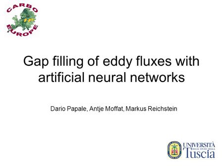 Gap filling of eddy fluxes with artificial neural networks