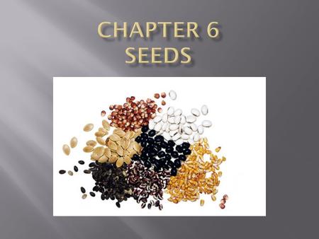  Production of seeds  Seed Coat - protection  Endosperm – stored plant food  Embryo – embryonic plant.