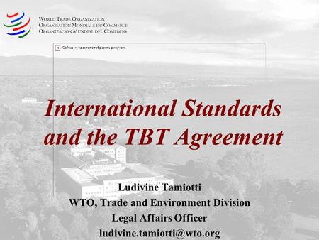 International Standards and the TBT Agreement Ludivine Tamiotti WTO, Trade and Environment Division Legal Affairs Officer