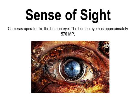 Sense of Sight Cameras operate like the human eye. The human eye has approximately 576 MP.