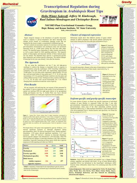 Transcriptional Regulation during Gravitropism in Arabidopsis Root Tips Heike Winter Sederoff, Jeffery M. Kimbrough, Raul Salinas-Mondragon and Christopher.