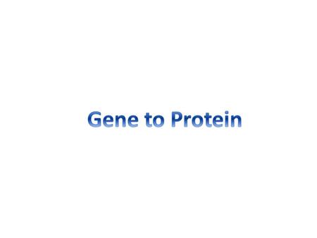 The information content of DNA is in the form of specific sequences of nucleotides The DNA inherited by an organism leads to specific traits by dictating.