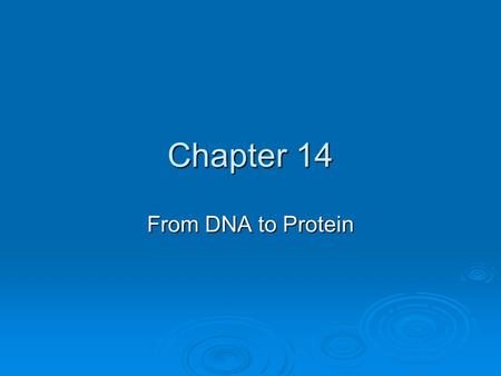 Chapter 14 From DNA to Protein.  Ricin – comes from the castor oil plant  Inactivates ribosomes, the protein-building machinery of all cells Impacts,