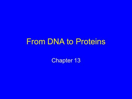 From DNA to Proteins Chapter 13. Byssus: Marvelous Mussel Adhesive Mussels live in the surf zone and are subjected to continual pounding by waves Mussel.