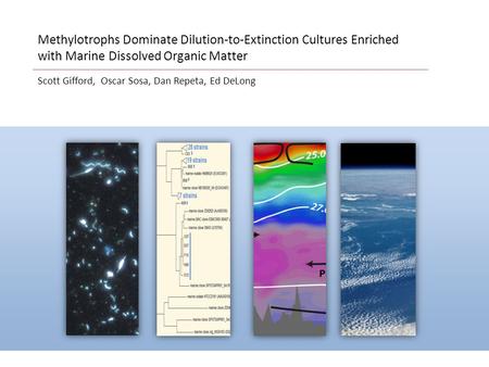 Scott Gifford, Oscar Sosa, Dan Repeta, Ed DeLong Methylotrophs Dominate Dilution-to-Extinction Cultures Enriched with Marine Dissolved Organic Matter.