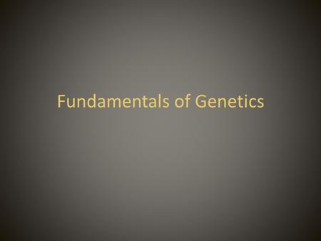 Fundamentals of Genetics. Genetics Genetics- The field of biology devoted to understanding how characteristics are transmitted from parents to the offspring.