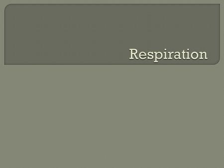 Photosynthesis 6CO 2 +6H 2 0+ energy  6O 2 + C 6 H 12 O 6 Respiration 6O 2 + C 6 H 12 O 6  6CO 2 +6H 2 0+ energy.