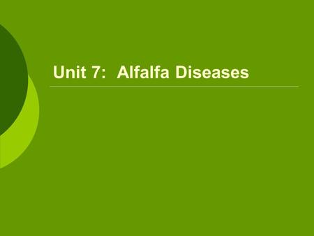 Unit 7: Alfalfa Diseases.  Bacterial Wilt Occurs when conditions are right for rapid, vigorous growth Symptoms  Reduced stand  Dwarfing of infected.