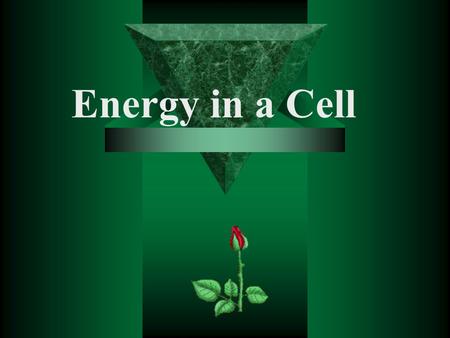 Energy in a Cell All Cells Need Energy  Cells need energy to: –Make new molecules. –Build membranes and organelles. –Move molecules in and out of the.