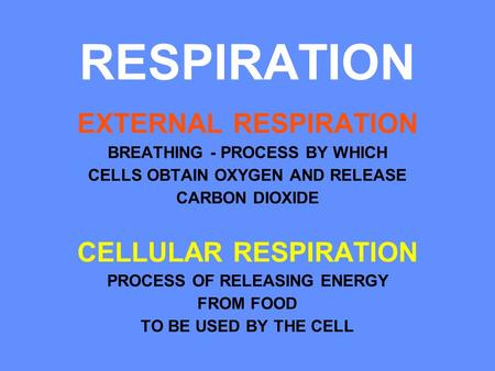 RESPIRATION EXTERNAL RESPIRATION CELLULAR RESPIRATION