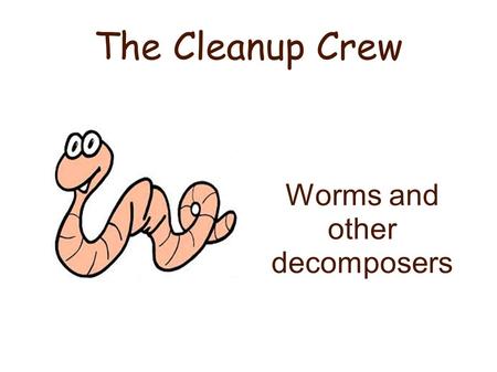 Worms and other decomposers