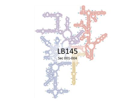 LB145 Sec 001-004. Today’s Announcements StudyNotes5 AND Homework4 are due. Field Trip sign up! Tutorial – Feb. 22: 3-5pm [Room C-3] Evaluate HW 4. Take.