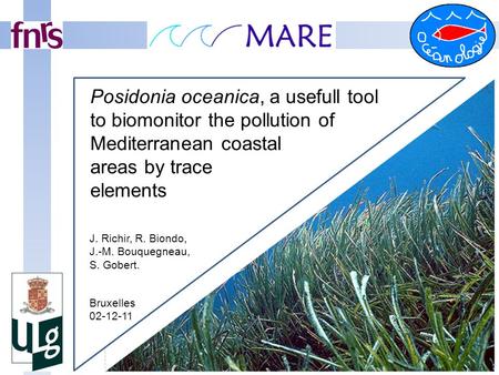 Posidonia oceanica, a usefull tool to biomonitor the pollution of Mediterranean coastal areas by trace elements J. Richir, R. Biondo, J.-M. Bouquegneau,