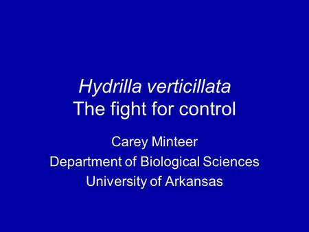 Hydrilla verticillata The fight for control Carey Minteer Department of Biological Sciences University of Arkansas.