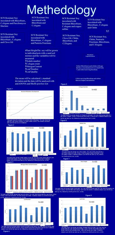 Methedology SCN Resistant Soy inoculated with Rhizobium, C.elegans and Paecilomyces lilacinus SCN Resistant Soy inoculated with Rhizobium and C.elegans.