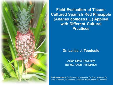 Dr. Lelisa J. Teodosio Aklan State University Banga, Aklan, Philippines Co-Researchers: Dr. Geronimo L. Gregorio, Dr. Elsa I. Abayon, Dr. Cora F. Navarra,