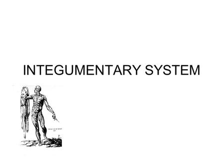 INTEGUMENTARY SYSTEM. To be an organ Membranes are organs: mucous serous synovial Epithelial membranes: mucous + serous + cutaneous(dry membrane, exposed.