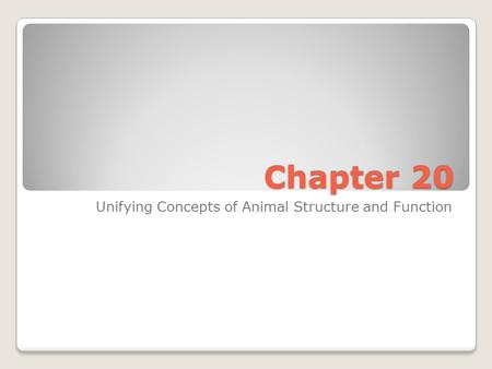 Unifying Concepts of Animal Structure and Function