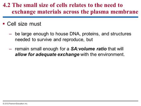 4.2 The small size of cells relates to the need to exchange materials across the plasma membrane  Cell size must –be large enough to house DNA, proteins,