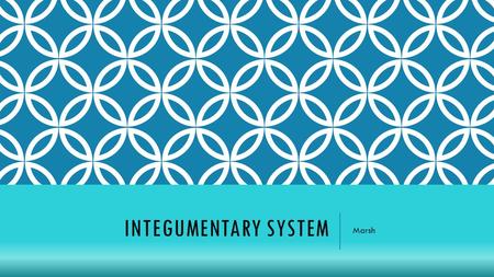 INTEGUMENTARY SYSTEM Marsh. QUICK FACTS:  Largest organ of the body  Complex structure  Functions:  Regulates body temperature  Protects  Makes.