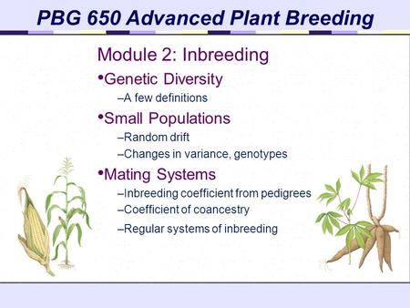 PBG 650 Advanced Plant Breeding Module 2: Inbreeding Genetic Diversity –A few definitions Small Populations –Random drift –Changes in variance, genotypes.