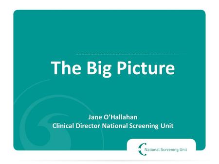 The Big Picture Jane O’Hallahan Clinical Director National Screening Unit.