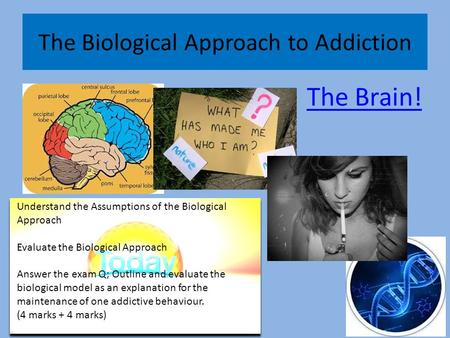 The Biological Approach to Addiction The Brain! Understand the Assumptions of the Biological Approach Evaluate the Biological Approach Answer the exam.