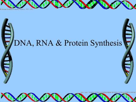 DNA, RNA & Protein Synthesis. I. What are Proteins? A.Proteins are organic molecules made of various arrangements of 20 amino acids B.Examples- 1.Enzymes.