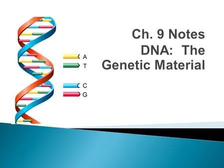  Who was Gregor Mendel and what did he discover?  How many chromosomes are found in the nucleus of each human body cell?  During cell division, your.