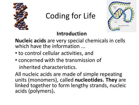 Coding for Life Introduction