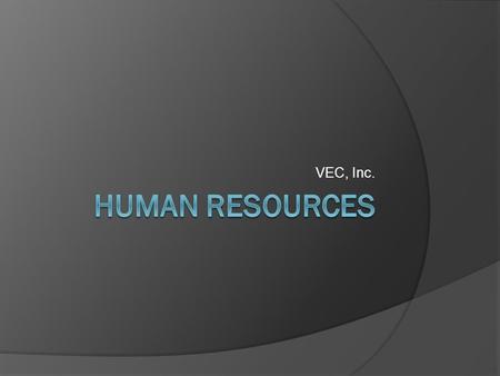 VEC, Inc.. Expectations  Black & White vs. Very Colorful  HR Internal Partners  Internal Programs  Due Diligence  Giving Back  Resources.