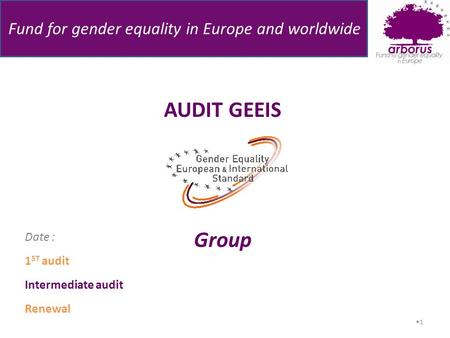 Fund for gender equality in Europe and worldwide 1 AUDIT GEEIS Group Date : 1 ST audit Intermediate audit Renewal.