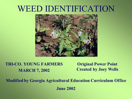 WEED IDENTIFICATION TRI-CO. YOUNG FARMERS MARCH 7, 2002 Modified by Georgia Agricultural Education Curriculum Office June 2002 Original Power Point Created.