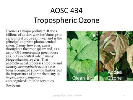 Copyright © 2013 R.R. Dickerson1 AOSC 434 Tropospheric Ozone Ozone is a major pollutant. It does billions of dollars worth of damage to agricultural crops.