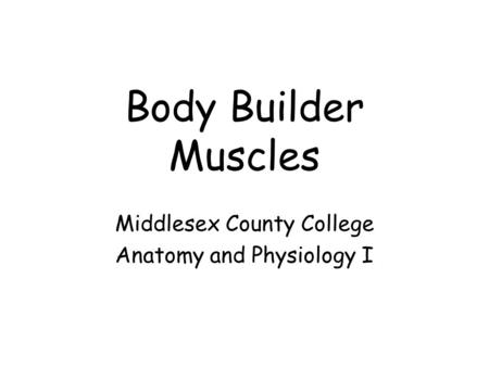 Middlesex County College Anatomy and Physiology I