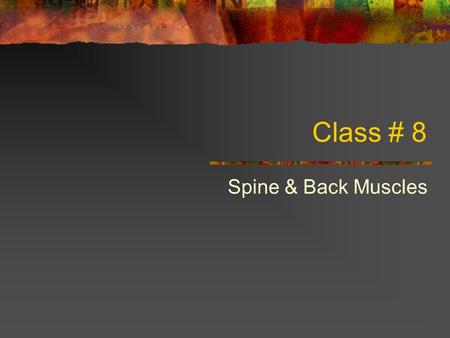 Class # 8 Spine & Back Muscles. Topics: 24 individual vertebrae: 7 Cervical 12 Thoracic 5 Lumbar 1 Sacrum: 5 fused bones 1 Coccyx: 4 fused bones.