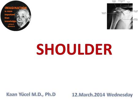 SHOULDER Kaan Yücel M.D., Ph.D 12.March.2014 Wednesday.