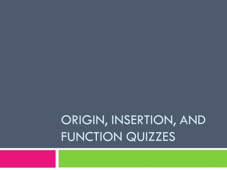 ORIGIN, INSERTION, AND FUNCTION QUIZZES. Quiz 1 (Next Tuesday)  Trapezius:  ORIGIN: occipital bone, seventh cervical and all thoracic vertebrae.  INSERTION: