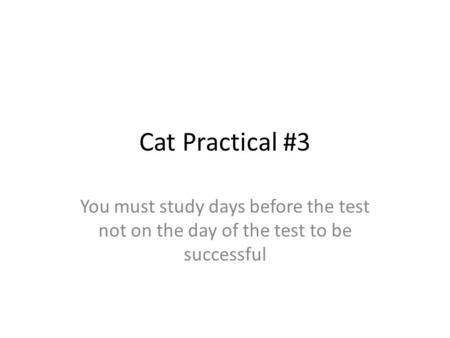 Cat Practical #3 You must study days before the test not on the day of the test to be successful.