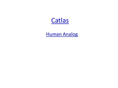 Catlas Human Analog.