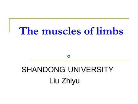 SHANDONG UNIVERSITY Liu Zhiyu